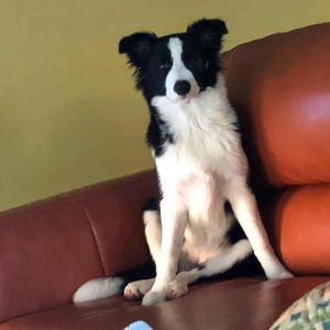 Meet your Posher, Terri